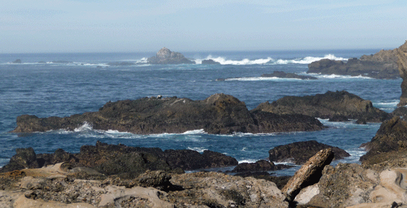 Point Lobos Reserve