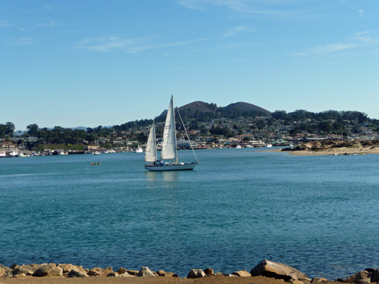 Morro Bay CA