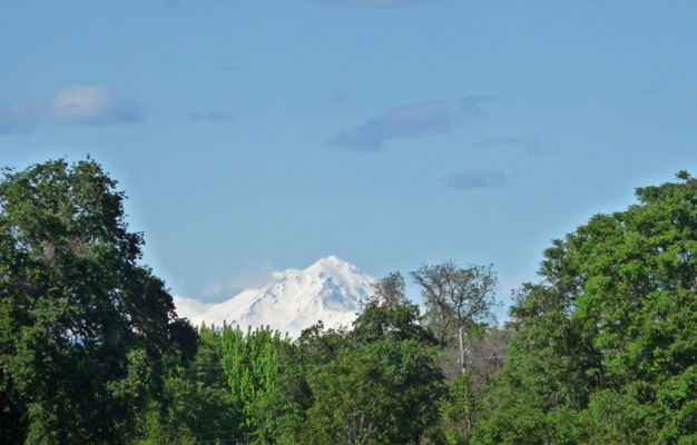 Mt Shasta from Redding CA