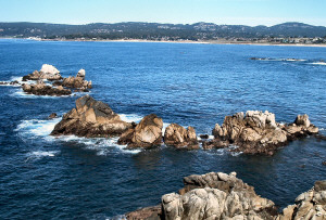 Point Lobos 
