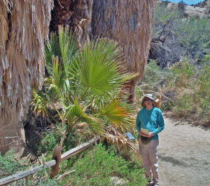 Walter at Cottonwood Oasis