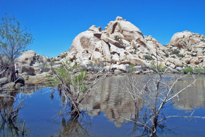 Barker Dam