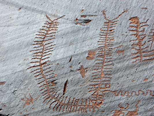 Petroglyphs