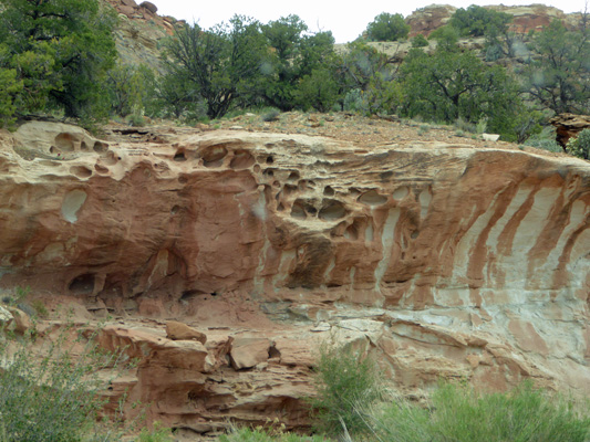 Scenic Drive erosion patterns