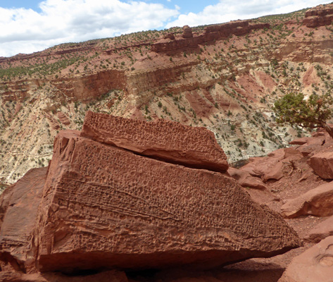 pitted rocks at Goosenecks