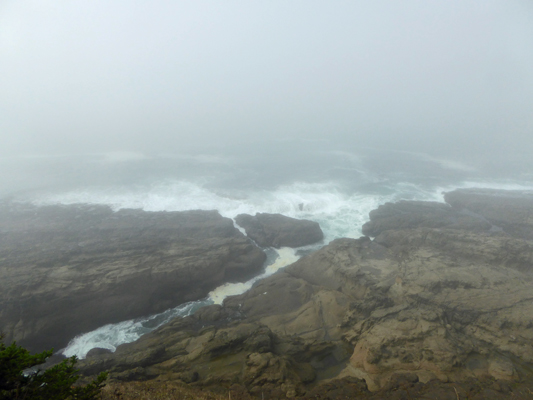 Cape Arago north in fog