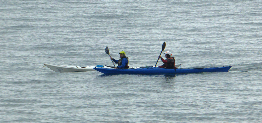 Kayaks Port Orford