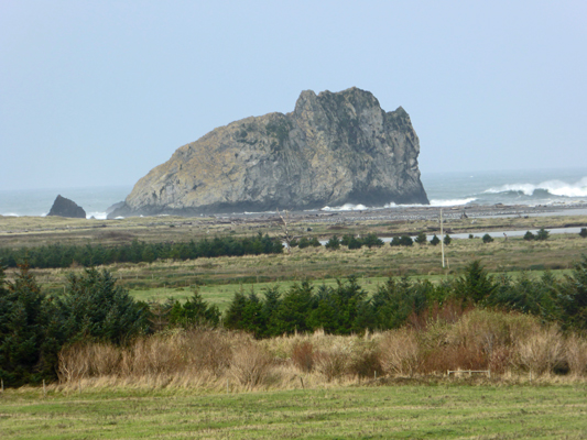 Gull Rock from trail to Sixes RIver