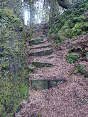 Hughes House Trail stairs