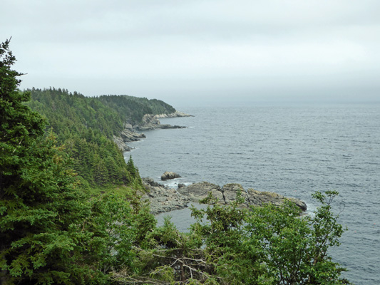 Middle Head Cape Breton Highlands