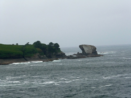 Sea stack at island across from Cape Flattery Lookout WA