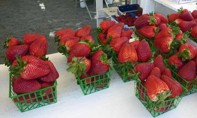 Starwberries Carlsbad