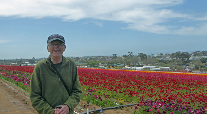 Walter Cooke The Flower Fields