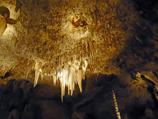 Big Room ceiling Carlsbad Caverns