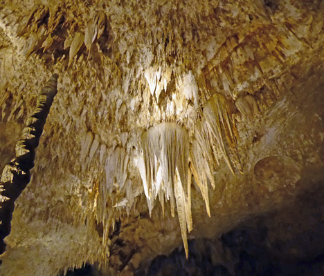 Big Room ceiling Carlsbad Caverns