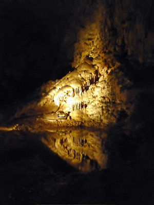 Reflected flowstone Carlsbad Cavern