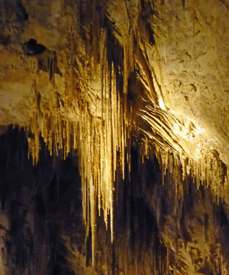 Soda Straws Carlsbad Cavern