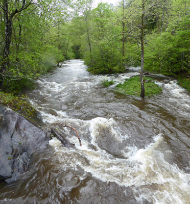 Oconaluftee River near Smokemont Campground