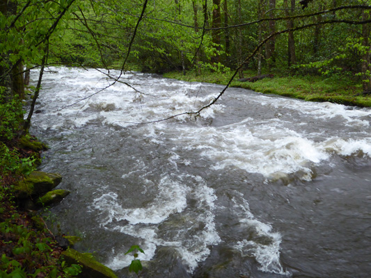 Oconaluftee River at Smokemont Campground