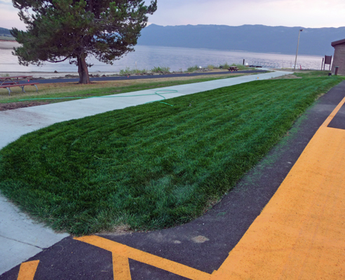 Sod at Sugarloaf boatramp Lake Cascade