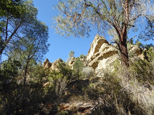 Old Pinnacles Trail formation