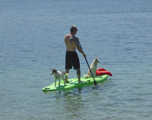 Man and 2 dogs on SUP