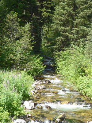 Twin Creek