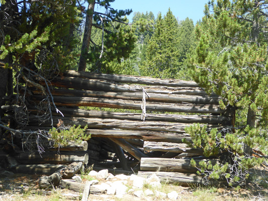 Sawtooth City log building