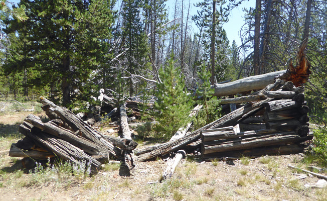 Sawtooth City log building