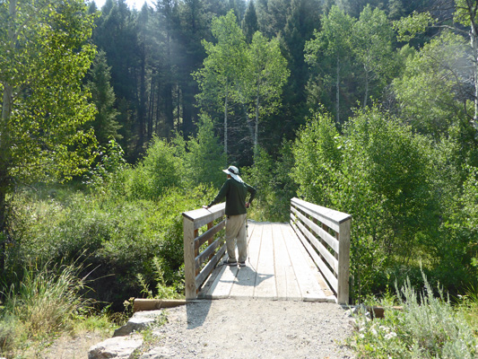 Murdock Creek bridge