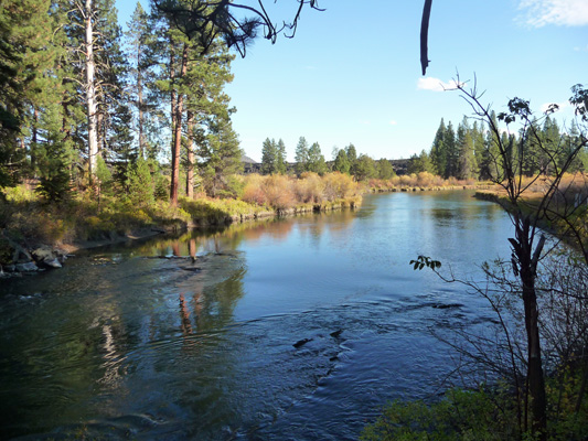 Deschutes River late afternoon near Benham Falls