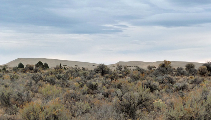 Sand Dunes in Oregon Outback