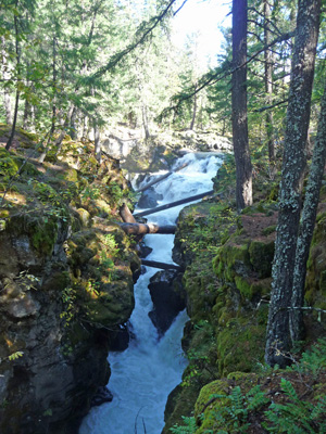 Rogue River Gorge Cascades