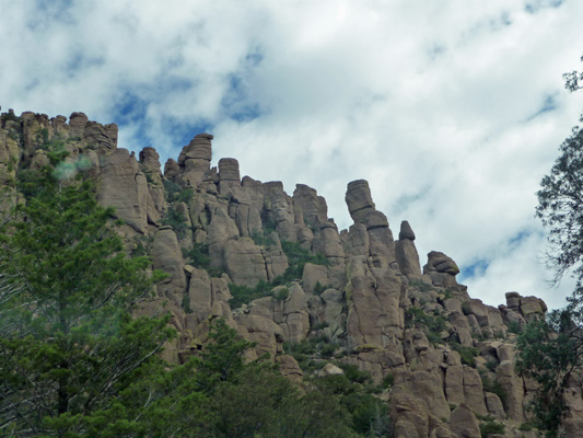 Bonita Canyon Rd Chiricahua NM