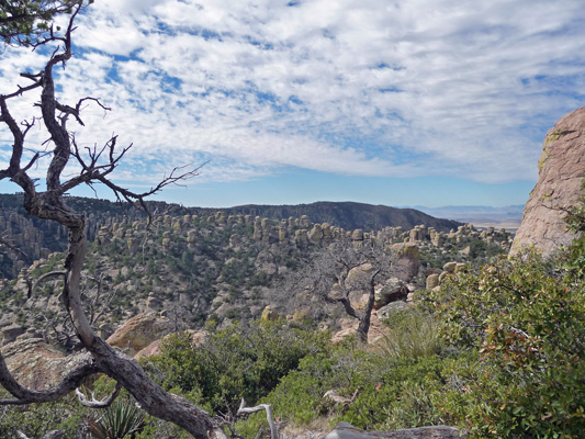 Massai Nature Trail view Chiricahua NM