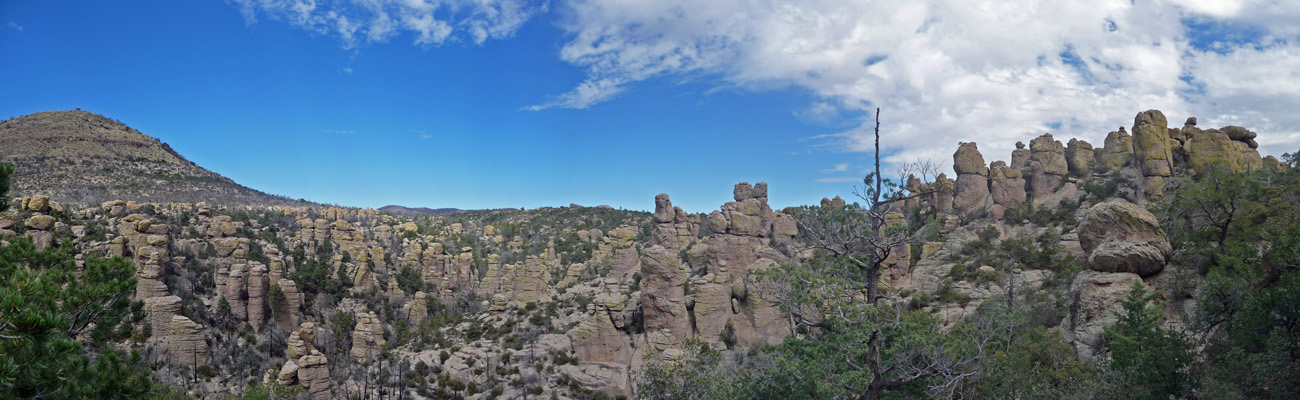 Echo Canyon Trail Chiricahua NM