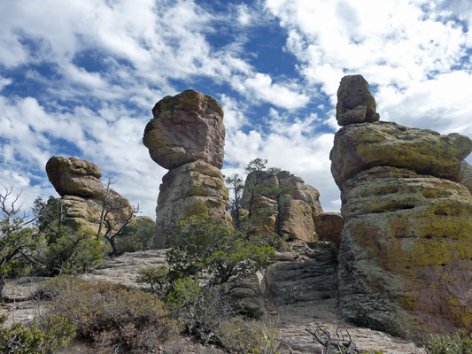 Echo Canyon Trail Chiricahua NM