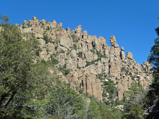 Bonita Canyon Rd Chiricahua NM