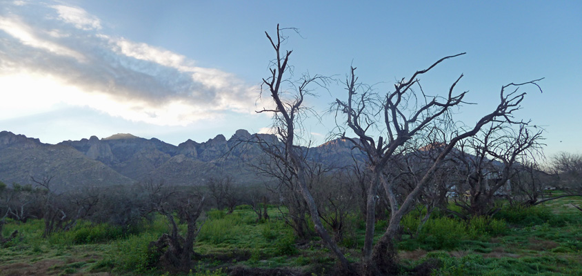 Sunrise at Catalina State Park Tucson AZ