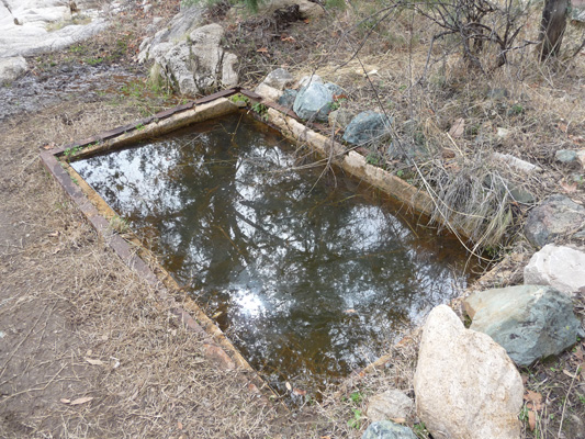 Cochise Spring on Cochise Trail
