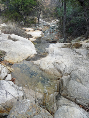 Creek near Cochise Spring on Cochise Trail