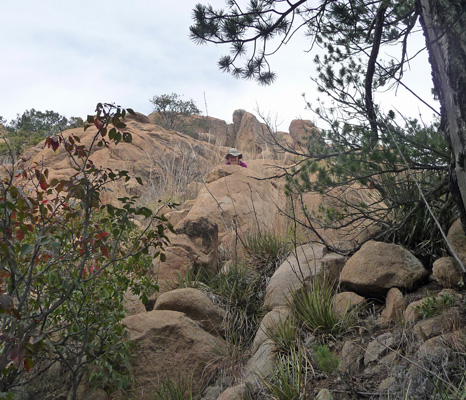 Sara Schurr amongst rocks on Cochise Trail
