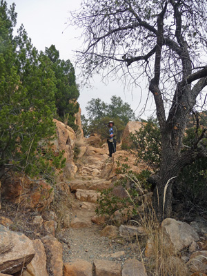 Walter Cooke on stairs at Cochise Spring