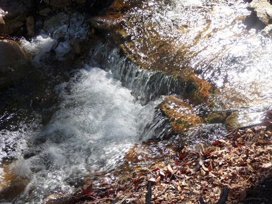 Ramsey Creek Conservation area