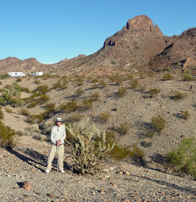 Walter Cooke and HUGE cholla