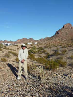 Walter Cooke and normal cholla