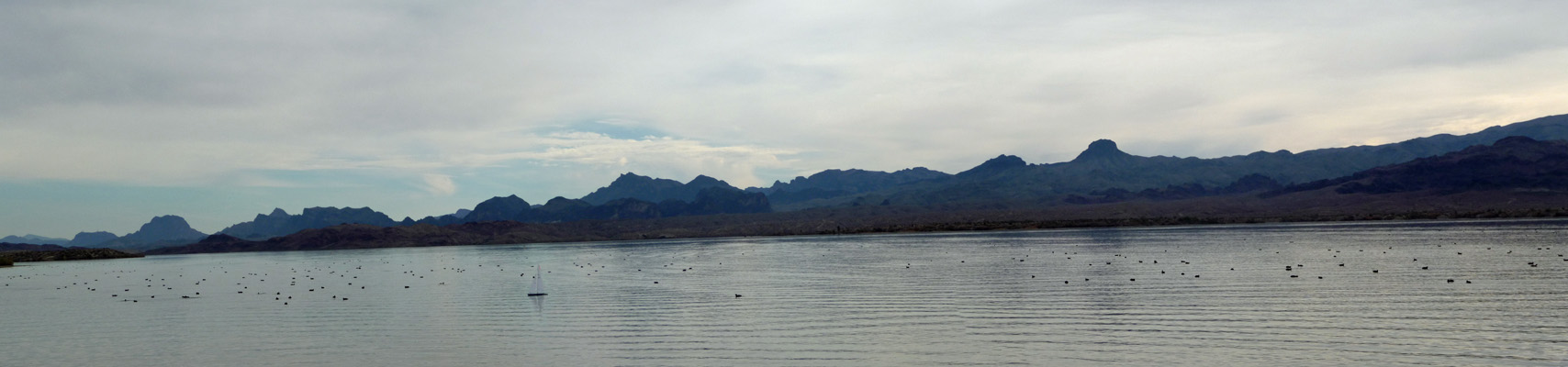 Lake Havasu from Rotary Park Lake Havasu City