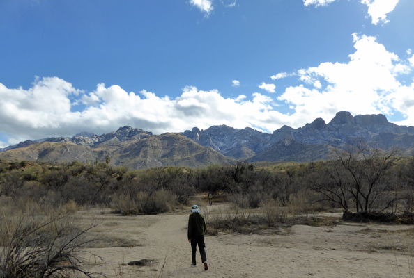 Romero Ruins Trail