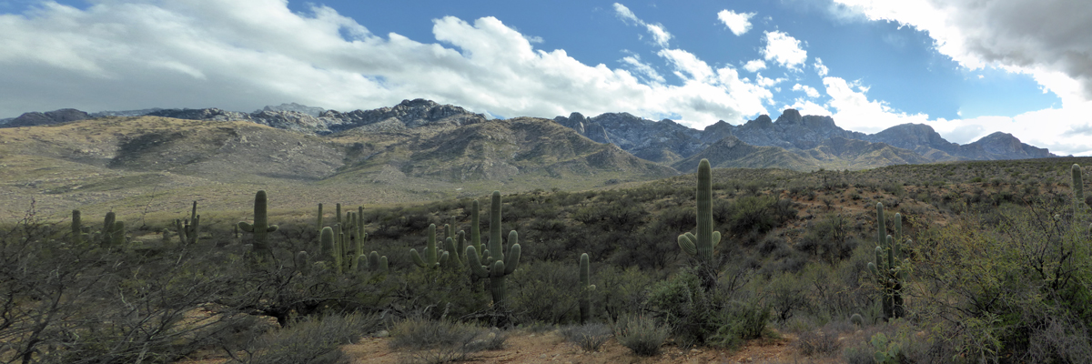 Romero Ruins Trail view