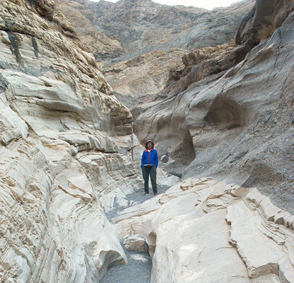 Walter Cooke Mosaic Canyon 2006